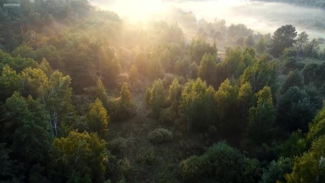 8 Часов Расслабляющая Музыка для Сна, Инструментальная Музыка, Медитация во Сне