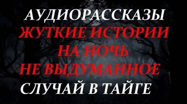 СТРАШНЫЕ РАССКАЗЫ НА НОЧЬ-СЛУЧАЙ В ТАЙГЕ