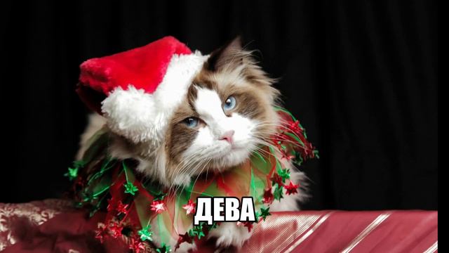 знаки зодиака