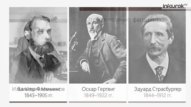 Клеточная теория