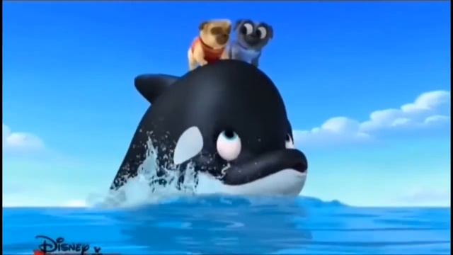 Дружные мопсы