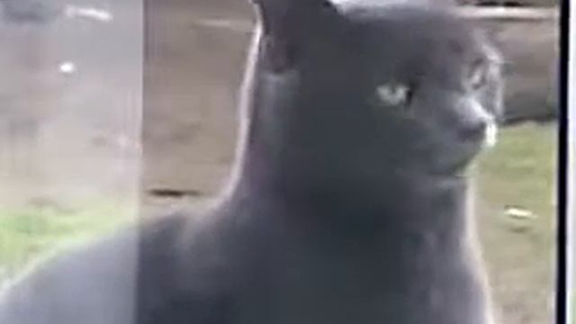 вася открой!!!!