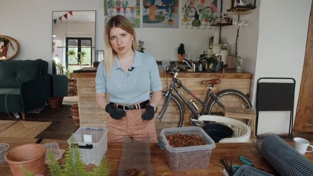 Филодендрон "Розовая принцесса" портит листья. Что делать?