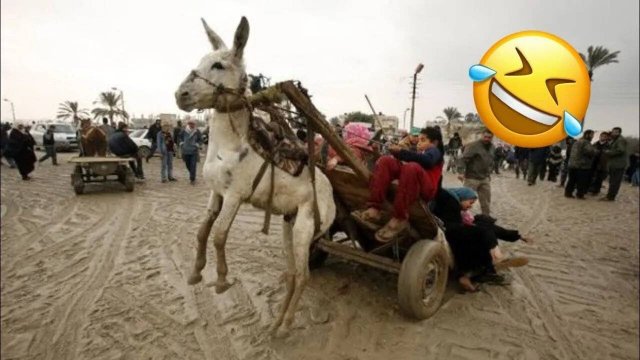Я РЖАЛ ДО СЛЕЗ 😂 30 МИНУТ ТОПОВЫХ НОВЫХ ПРИКОЛОВ 2024 ЗАСМЕЯЛСЯ ПОДПИСАЛСЯ лютые приколы #7