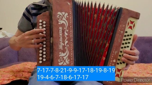 ЧАСТУШКИ - разбор на ГАРМОНИ ЦИФРАМИ #кариммуратов #баянпобратски