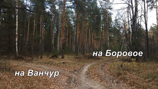 Октябрь в Берёзово