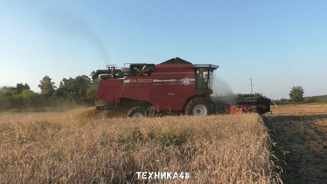 Новые комбайны Полесье ГС12 Делюкс в поле. Уборочная 2023 в Липецкой области. Измалковский район