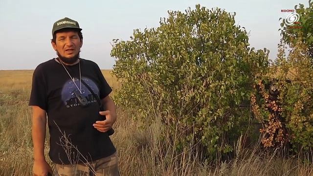 Вадим Чернобров о самовозгорании. Бисен Мамаев