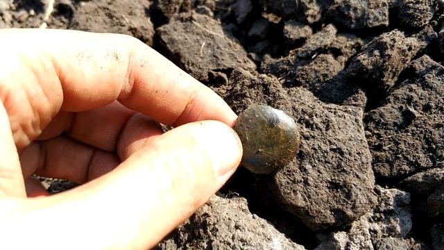 КОП по ПЕРЕПАШКЕ. КОП как ОН ЕСТЬ! #Коп #Квазар #КопUA