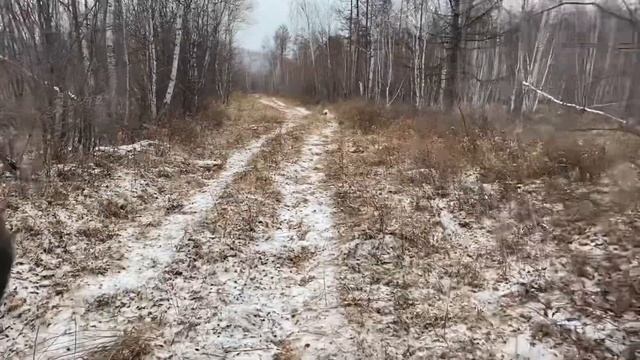 Штурм горного ручья на квадроцикле ZONGSHEN TUNDRA 4X4
