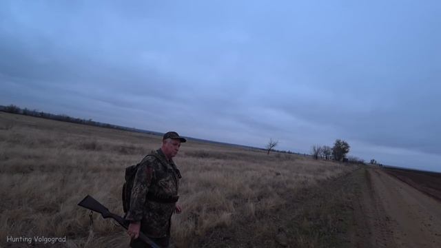 ОТКУДА СТОЛЬКО ЗАЙЦА?! Охота на зайца 2023-2024.Hare hunting.#охотаназайцапочернотропу #охотаназайц