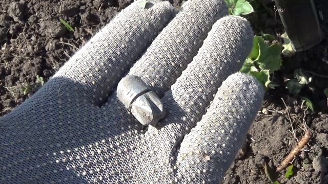 В лесу с металлоискателем.