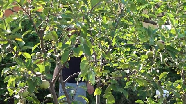 УТОПИЛА ТЕЛЕФОН!!! АНЯ ВРЕДИНА !