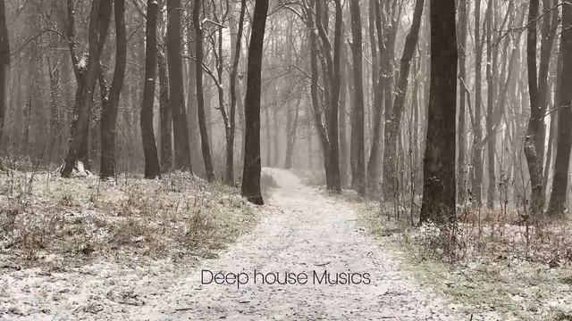 Сборник лучших мелодий от которых мурашки по телу ? Deep house  