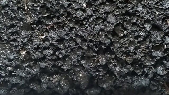 Выращиваем шампиньоны в домашних условиях Компост для шампиньонов