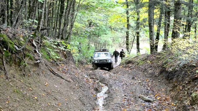 в поисках кошачьей пещеры