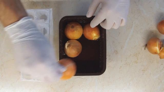 Как посадить лук на зелень на подоконнике ? Лук на перо в домашних условиях