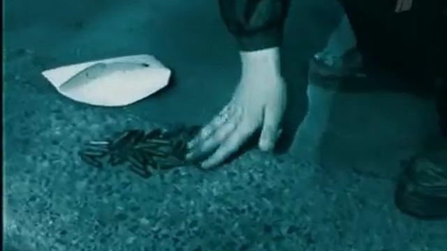 Криминальная Россия Последний роман обольстителя