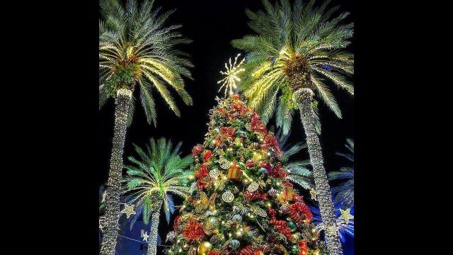 Новогоднее настроение в Сочи. Как украсили Сочи на Новый Год☃️Зима в Сочи #shorts
