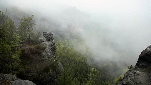 дикая природа германии