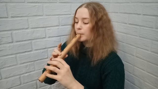 Hedwig's Theme (из Гарри Поттера) на флейте (свирели)