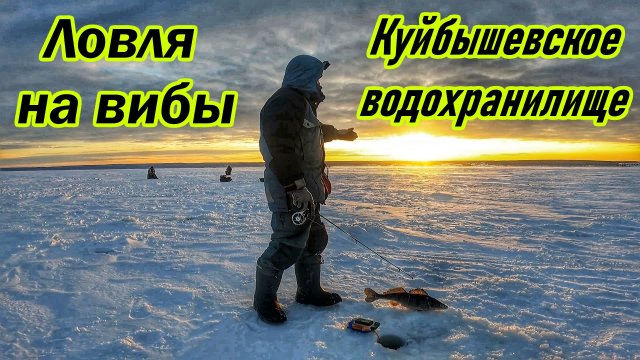 РЫБАЛКА НА ВИБЫ/ЛОВЛЯ СУДАКА И БЕРША НА КУЙБЫШЕВСКОМ ВДХ/ВИБ ЗИМОЙ/ТРОФЕЙНЫЙ БЁРШ/САМАРСКАЯ ОБЛАСТЬ