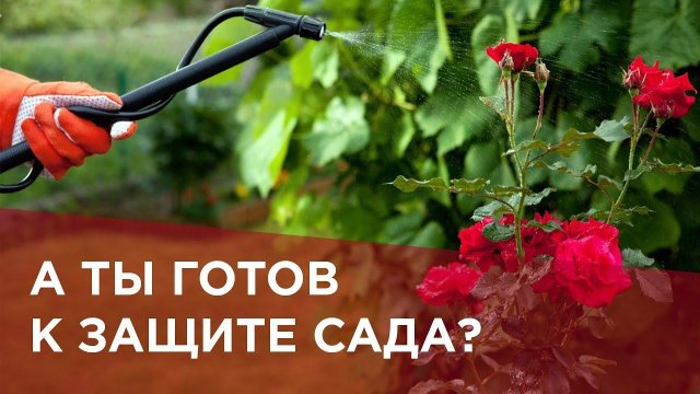 Топ- список препаратов от вредоносных  насекомых в саду! Когда биозащита не работает.