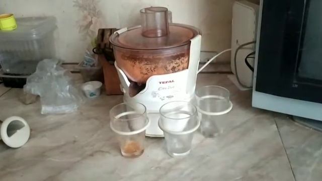 Тест на соковыжималки Tefal Elea Duo - как пользоваться как правилтно делать соки.