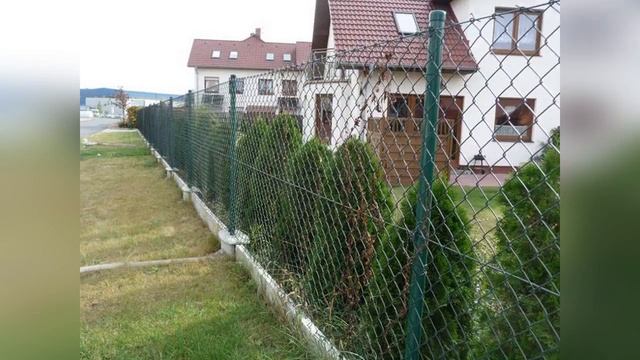 Виды заборов для дачи