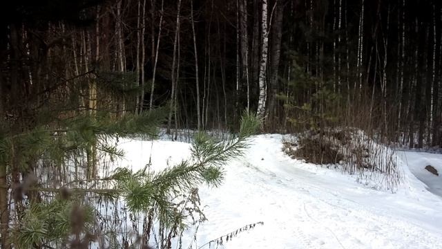 Тестдрайв (ч2, offroad): Suzuki Grand Vitara 2.0, 4AT, JLX-A (2014my)