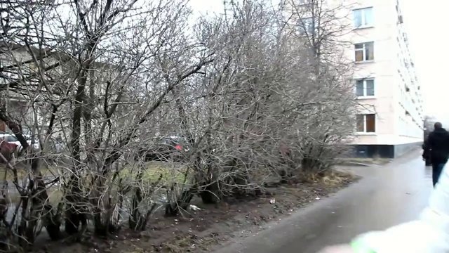 СтопХамСПб - Воздушный поцелуй