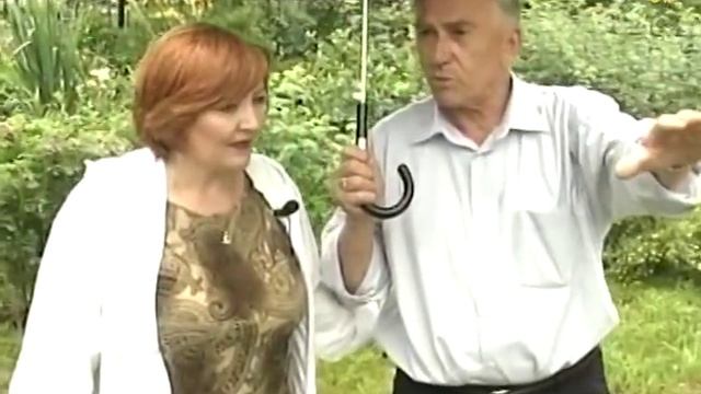 "Ленивый" сад - мечта дачника. Мощение, дикоросы, удобство для жизни