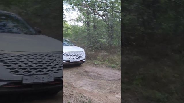 Небольшой офроуд на омода с5