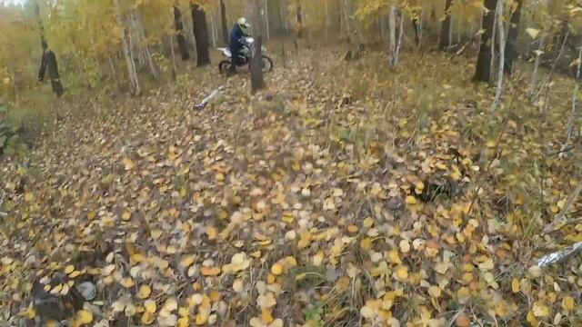 Покатушка. Уход от ДПС на ПИТБАЙКАХ!!!