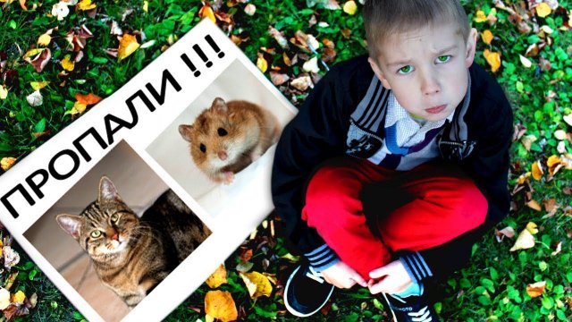 Куда ПРОПАЛИ КОТЕНОК И ХОМЯК Ромы Видео для Детей Рома и Хелпик
