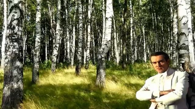 Муслим Магомаев. Шум берёз. Muslim Magomaev