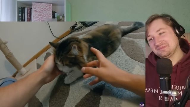 КОРОЧЕ ГОВОРЯ,  БРАТ VS СЕСТРА [От первого лица] - Больше никакого доверия! (РЕАКЦИЯ) | ТипоТоп