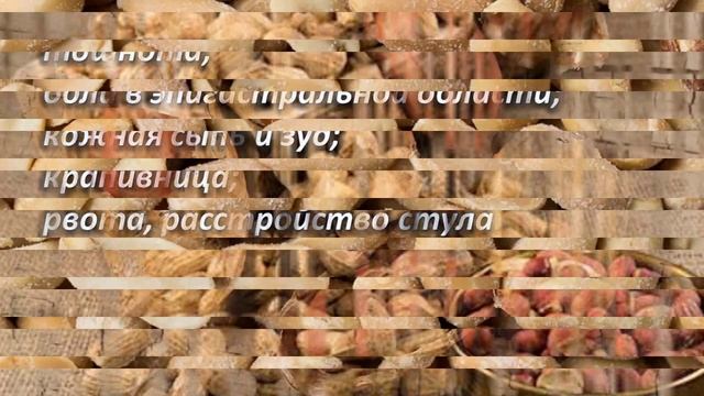 Что делает арахис с организмом человека? Это нужно знать! АРАХИС – польза и вред.