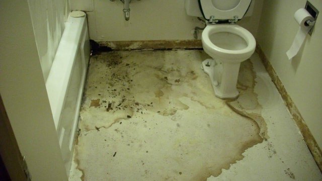 Вода на полу в ванной/туалете? Смотри где искать протечку!