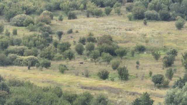 ЛУЧШИЙ КВАДРОКОПТЕР 2022 DJI MAVIC 3 - и тест системы сброса