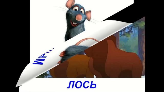 Видео для малышей - Дикие животные.  Презентация  по Доману.