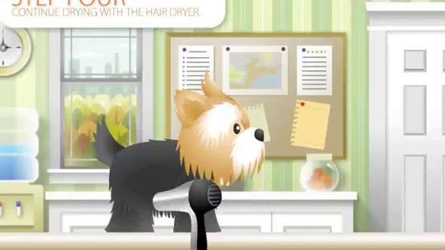 УХОД ЗА ДОМАШНИМИ ЖИВОТНЫМИ. PET GROOMING STUDIO.