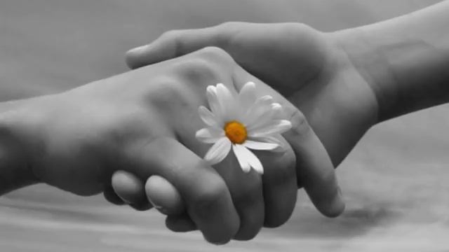 Магомед Дзыбов - Я помню нашу с тобой встречу