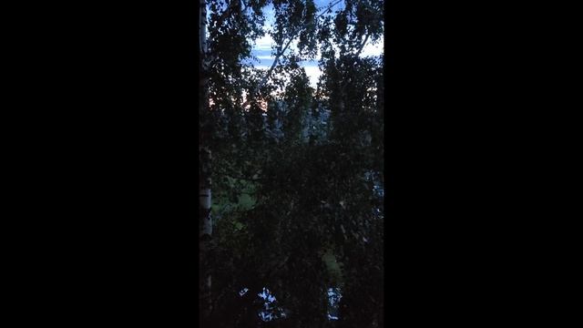 Релакс шум (звуки) ночного города. Город Людей спит а город Машин нет.