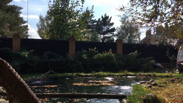 Можно ли вырастить форель в пруду? Рыбалка форели в пруду.| Catch trout grown in an pond.