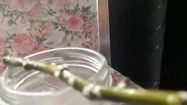 Укоренение Рождественской  звезды (пуансетии) -легко