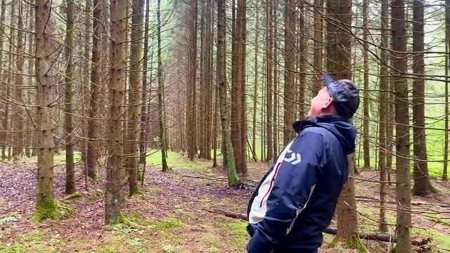 Грибник ЗАКРИЧАЛ от СЧАСТЬЯ! БЕЛЫЕ ГРИБЫ и ПОДОСИНОВИКИ НЕ ВЫПУСКАЮТ из ЛЕСА! Грибники и Грибы 2023