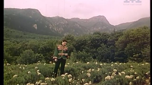 Назарій Яремчук - Стожари (Official Video)