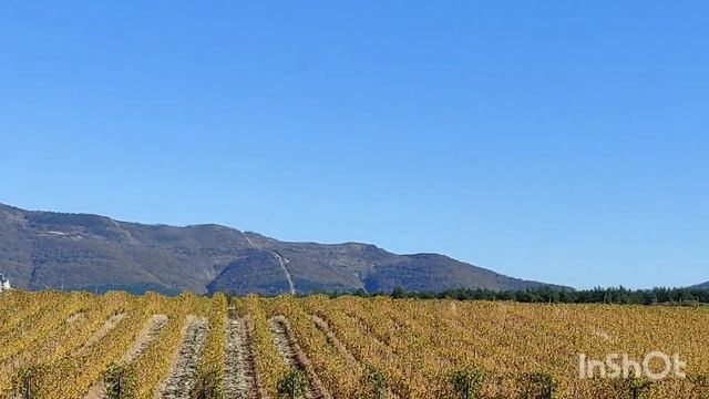 ШАТО де ТАЛЮ. ГРУППОВЫЕ ЭКСКУРСИИ  В ПРЕКРАСНЫЙ ЗАМОК  СРЕДИ ВИНОГРАДНИКОВ В ГЕЛЕНДЖИКЕ.