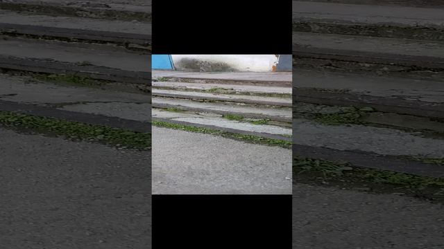 аапаппп
